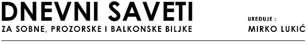 Dnevni saveti 
